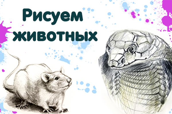 Клуб Курс Рисуем Животных рисуем животных найннокс