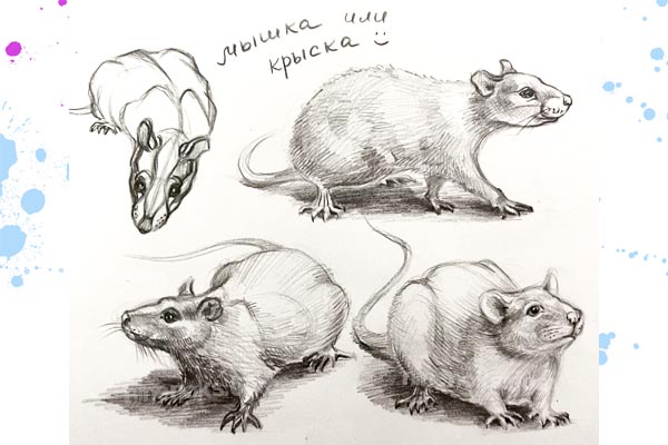 Мышка. Клуб. Найннокс